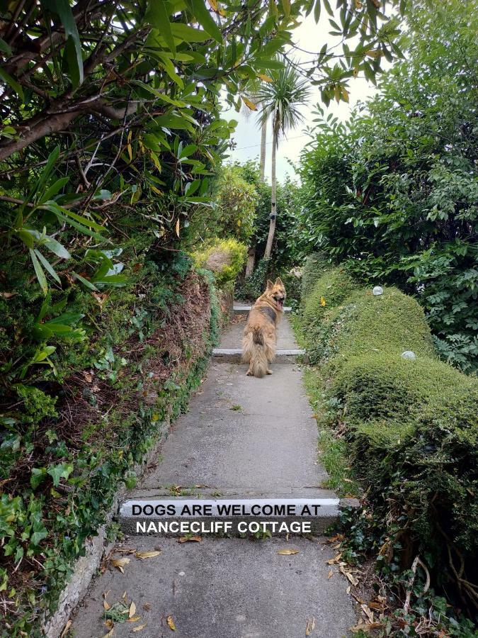 Dog Friendly Nancecliff Cottages Looe Extérieur photo