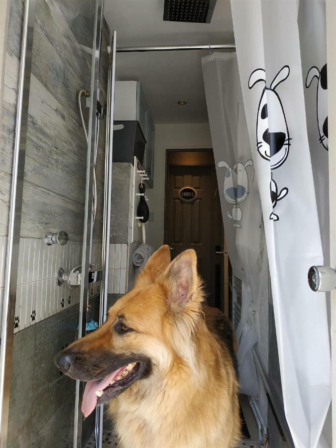 Dog Friendly Nancecliff Cottages Looe Extérieur photo