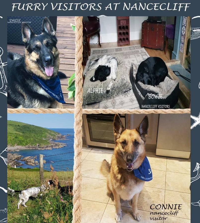 Dog Friendly Nancecliff Cottages Looe Extérieur photo