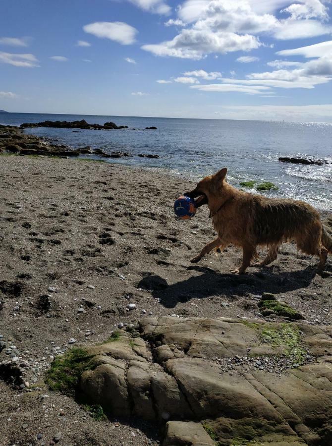 Dog Friendly Nancecliff Cottages Looe Extérieur photo